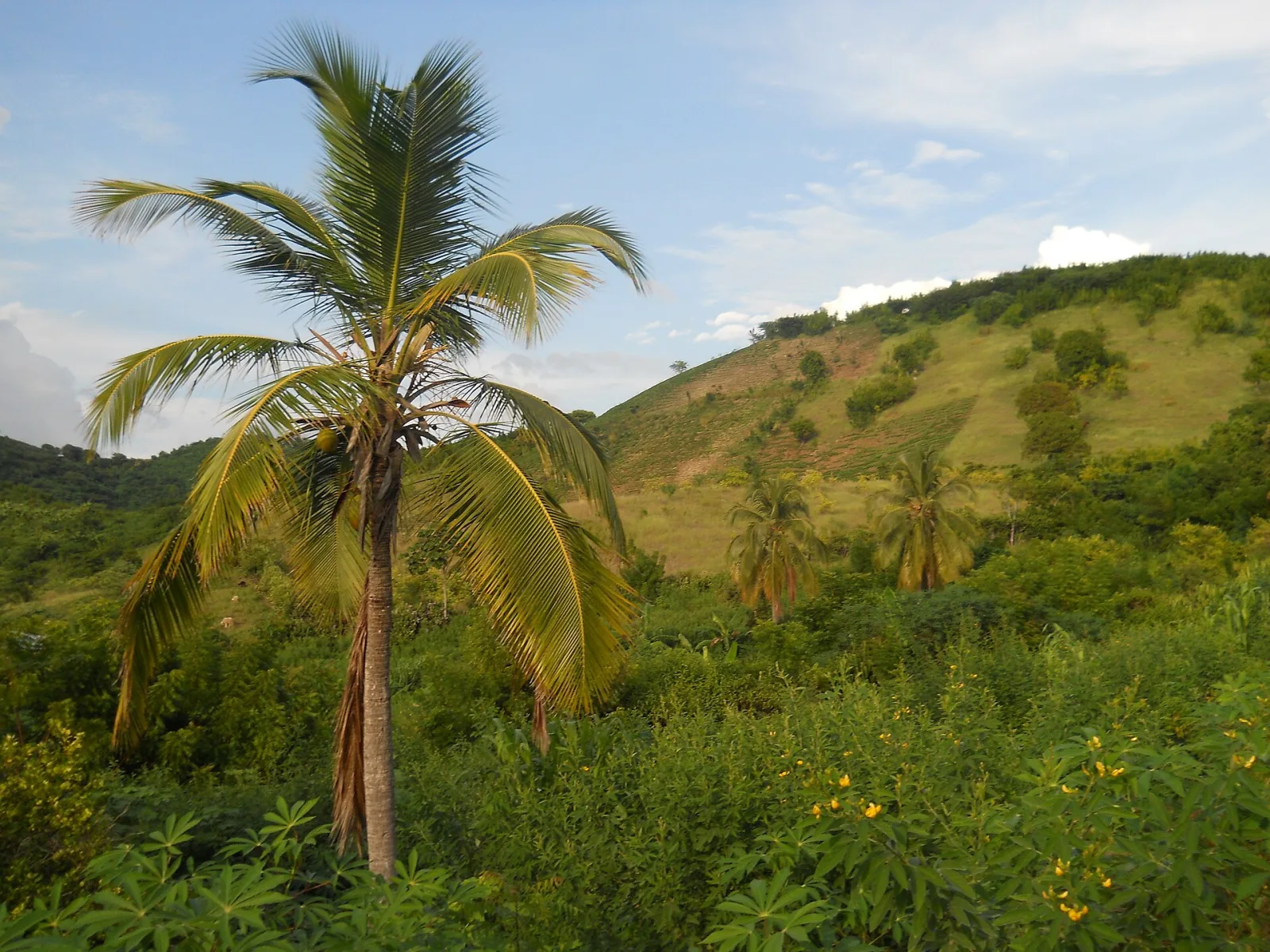 Paysage de Zanglais à Saint-Louis-du-Sud, Haïti